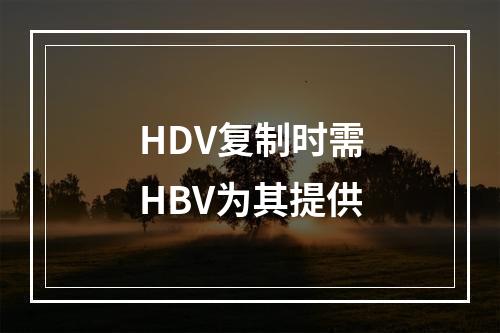 HDV复制时需HBV为其提供