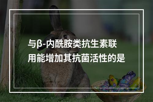 与β-内酰胺类抗生素联用能增加其抗菌活性的是