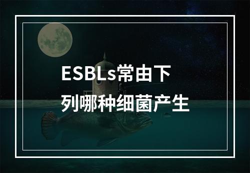 ESBLs常由下列哪种细菌产生