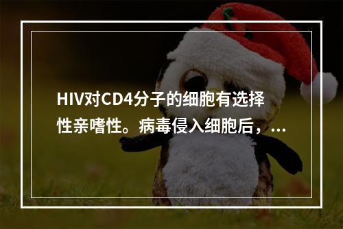 HIV对CD4分子的细胞有选择性亲嗜性。病毒侵入细胞后，借助