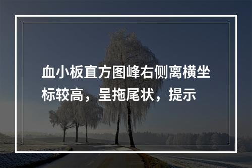 血小板直方图峰右侧离横坐标较高，呈拖尾状，提示