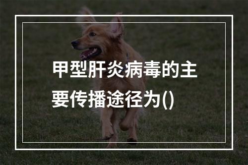 甲型肝炎病毒的主要传播途径为()