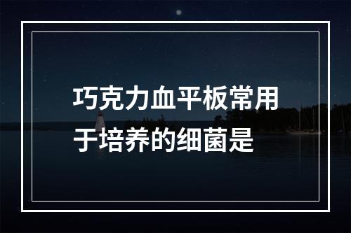 巧克力血平板常用于培养的细菌是