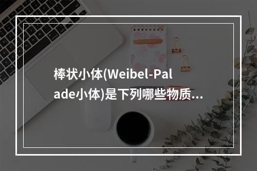 棒状小体(Weibel-Palade小体)是下列哪些物质产生