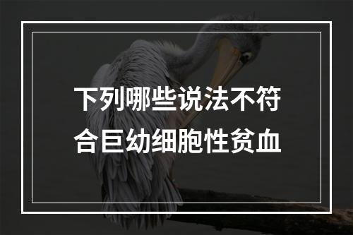 下列哪些说法不符合巨幼细胞性贫血