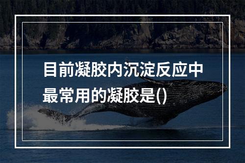 目前凝胶内沉淀反应中最常用的凝胶是()