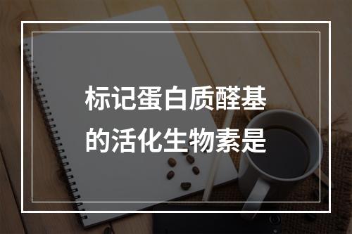 标记蛋白质醛基的活化生物素是