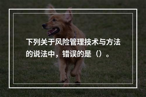 下列关于风险管理技术与方法的说法中，错误的是（）。