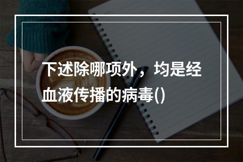 下述除哪项外，均是经血液传播的病毒()