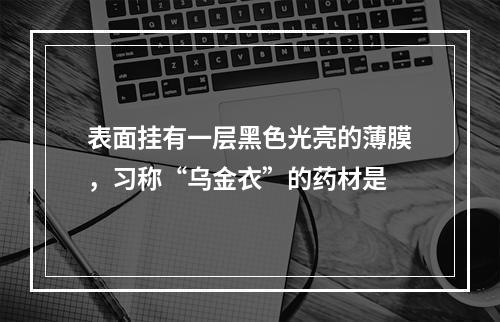 表面挂有一层黑色光亮的薄膜，习称“乌金衣”的药材是