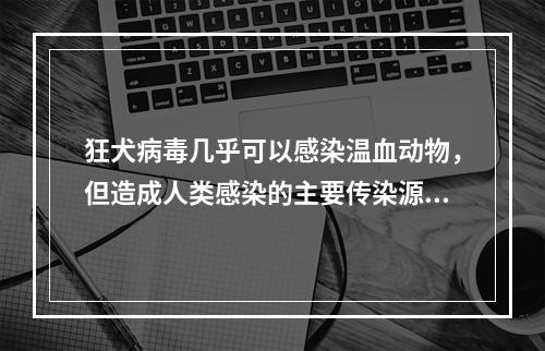 狂犬病毒几乎可以感染温血动物，但造成人类感染的主要传染源是下