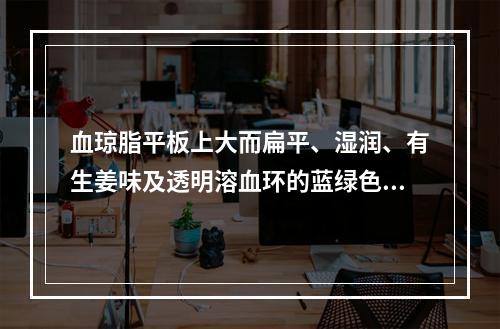 血琼脂平板上大而扁平、湿润、有生姜味及透明溶血环的蓝绿色菌落