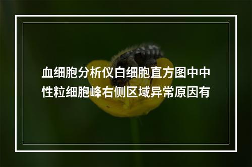 血细胞分析仪白细胞直方图中中性粒细胞峰右侧区域异常原因有