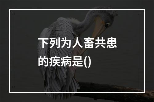 下列为人畜共患的疾病是()