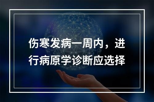 伤寒发病一周内，进行病原学诊断应选择