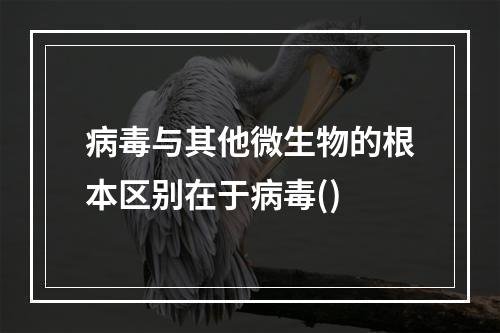 病毒与其他微生物的根本区别在于病毒()