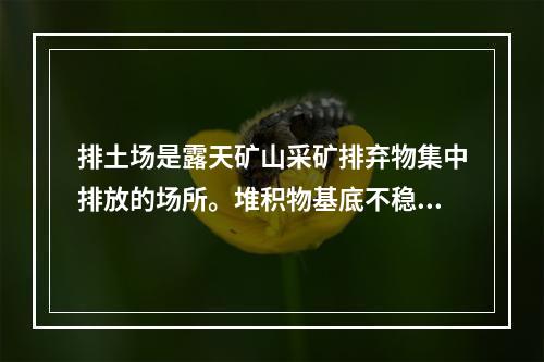 排土场是露天矿山采矿排弃物集中排放的场所。堆积物基底不稳引起