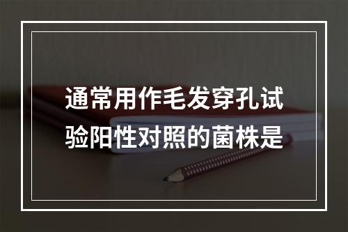 通常用作毛发穿孔试验阳性对照的菌株是