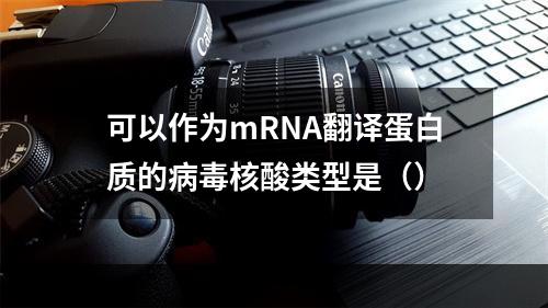 可以作为mRNA翻译蛋白质的病毒核酸类型是（）