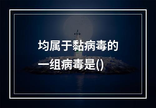 均属于黏病毒的一组病毒是()