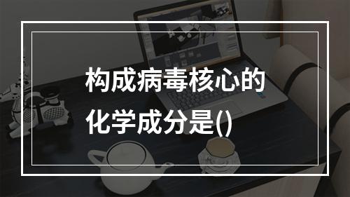 构成病毒核心的化学成分是()