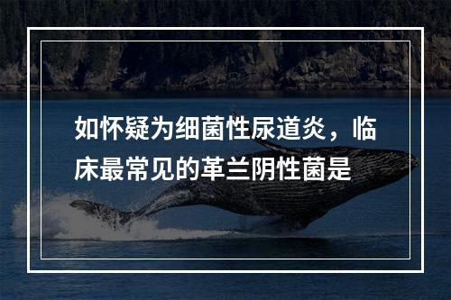 如怀疑为细菌性尿道炎，临床最常见的革兰阴性菌是