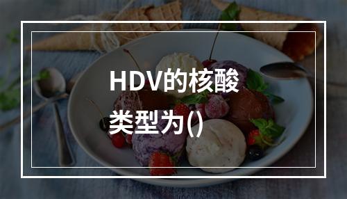 HDV的核酸类型为()