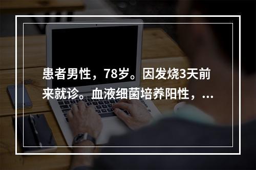 患者男性，78岁。因发烧3天前来就诊。血液细菌培养阳性，血液