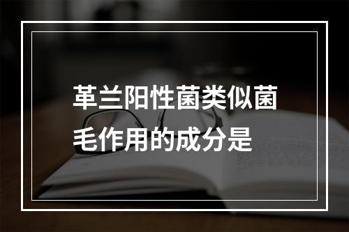 革兰阳性菌类似菌毛作用的成分是