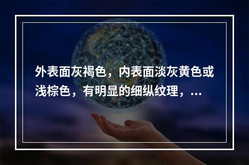 外表面灰褐色，内表面淡灰黄色或浅棕色，有明显的细纵纹理，常见