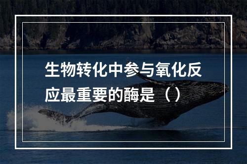 生物转化中参与氧化反应最重要的酶是（ ）