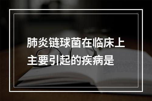 肺炎链球菌在临床上主要引起的疾病是