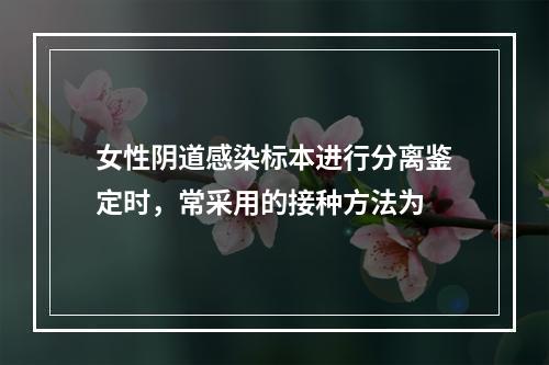 女性阴道感染标本进行分离鉴定时，常采用的接种方法为