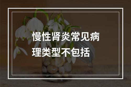 慢性肾炎常见病理类型不包括