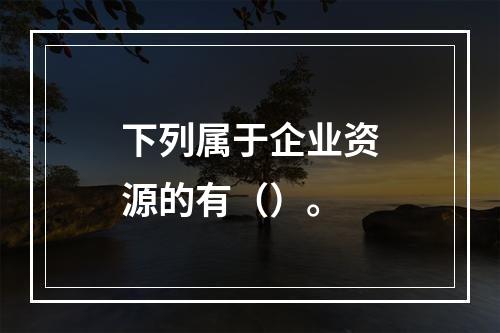 下列属于企业资源的有（）。