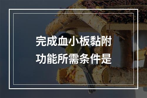 完成血小板黏附功能所需条件是