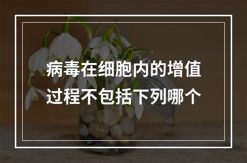 病毒在细胞内的增值过程不包括下列哪个