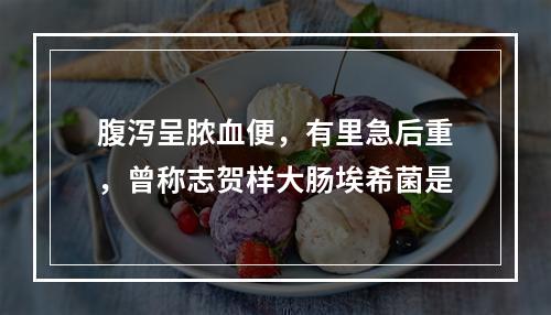 腹泻呈脓血便，有里急后重，曾称志贺样大肠埃希菌是