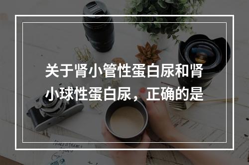 关于肾小管性蛋白尿和肾小球性蛋白尿，正确的是