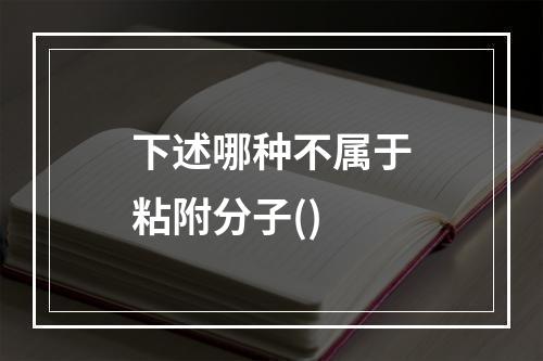 下述哪种不属于粘附分子()