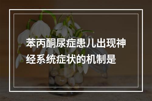 苯丙酮尿症患儿出现神经系统症状的机制是