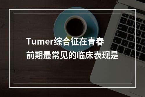 Tumer综合征在青春前期最常见的临床表现是