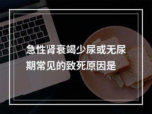 急性肾衰竭少尿或无尿期常见的致死原因是