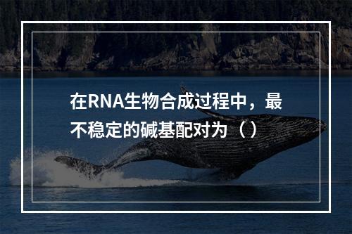 在RNA生物合成过程中，最不稳定的碱基配对为（ ）