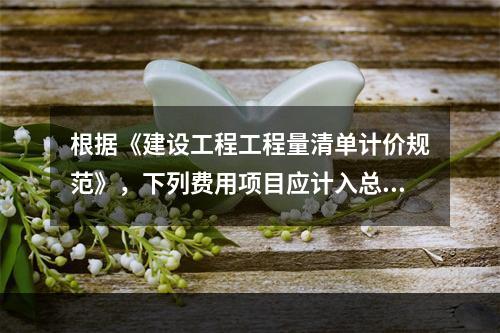 根据《建设工程工程量清单计价规范》，下列费用项目应计入总承包