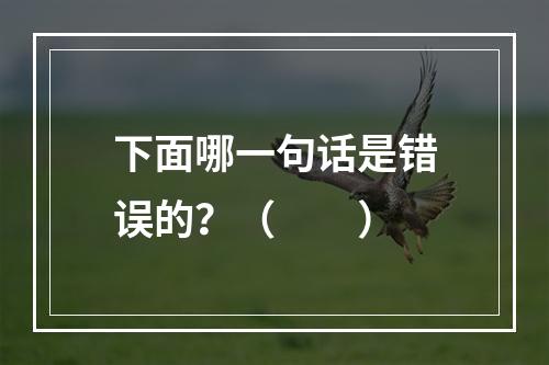 下面哪一句话是错误的？（　　）