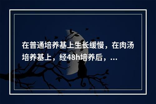 在普通培养基上生长缓慢，在肉汤培养基上，经48h培养后，可形