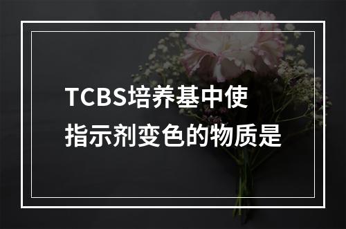 TCBS培养基中使指示剂变色的物质是