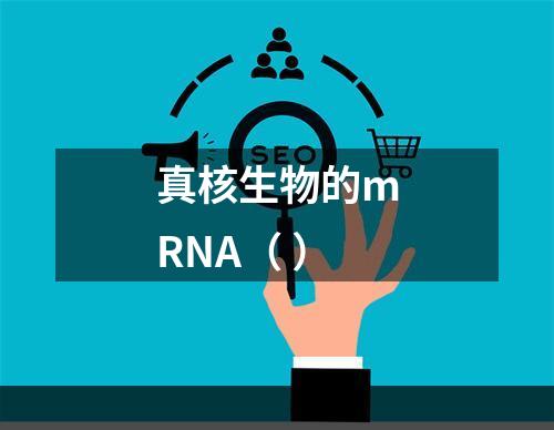 真核生物的mRNA（ ）