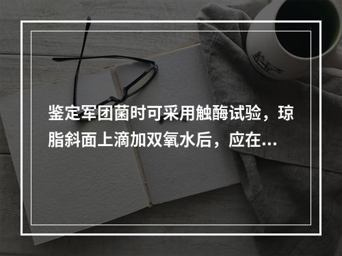 鉴定军团菌时可采用触酶试验，琼脂斜面上滴加双氧水后，应在多长